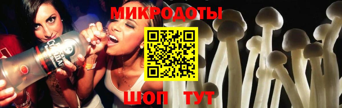 Псилоцибиновые грибы Psilocybe  Вход с VPN  Ростов Великий 