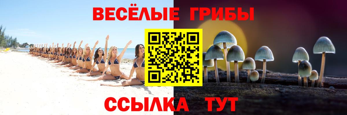Галлюциногенные грибы мухоморы Ростов Великий